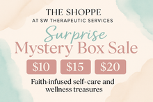 Load image into Gallery viewer, The Shoppe Surprise Mystery Box